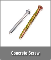 Concrete Screw