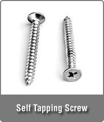 Self Tapping Screw