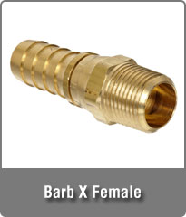 Barb X Female