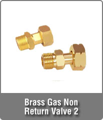 Brass Gas Non Return Valve 2