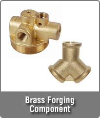 Brass Forging Component
